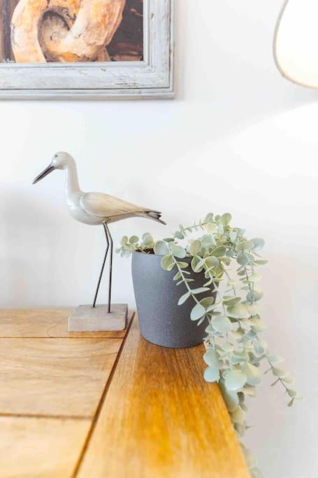 Watersedge Retreat, Views, Sunsets, Dogs Welcome Sandside  Exterior photo